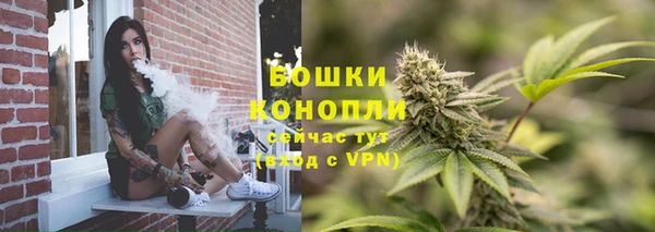 тгк Белокуриха