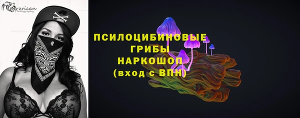 тгк Белокуриха