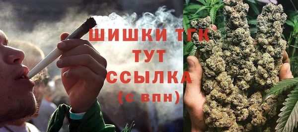 тгк Белокуриха