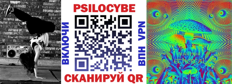 Псилоцибиновые грибы Psilocybe  Куртамыш 